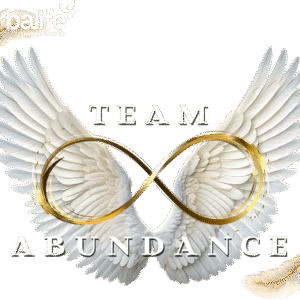 Team Abundance