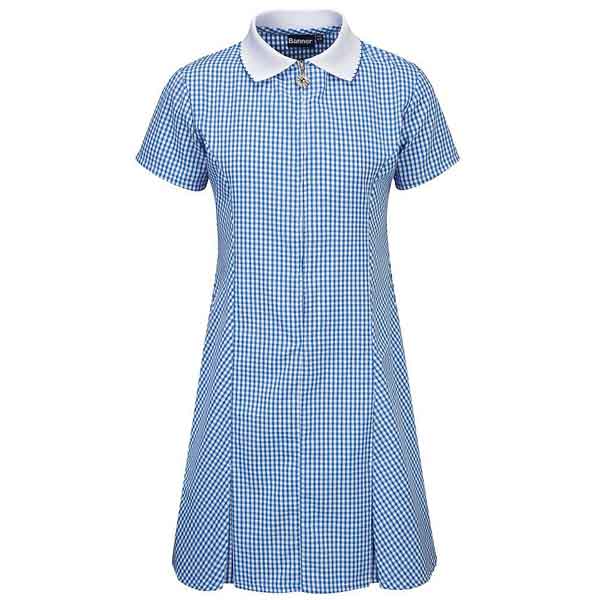 Gingham Blue Avon Summer Dress