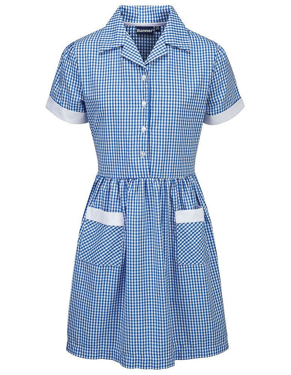 Gingham Blue Ayre Summer Dress