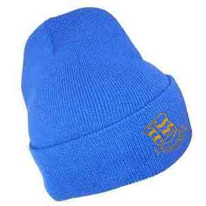 Lingham Primary Knitted Beanie