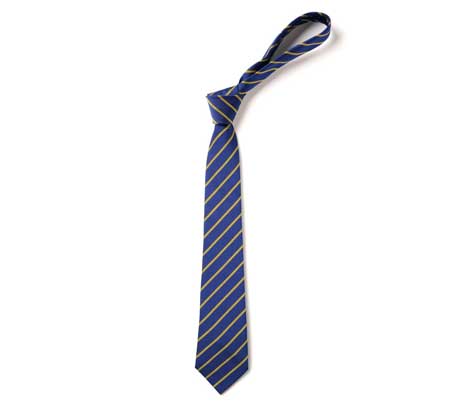 Lingham Primary School Tie