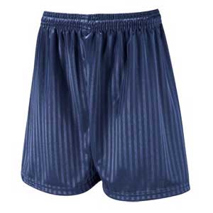 Navy PE Shorts