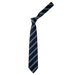 Our Lady of Pity School Tie