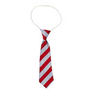 Sacred Heart Elasticated Tie